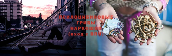 молекула духа Красноперекопск