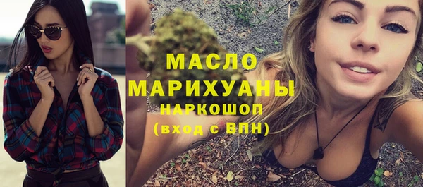 гидра Краснослободск