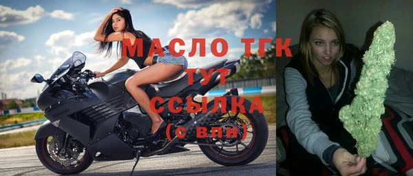 гидра Краснослободск