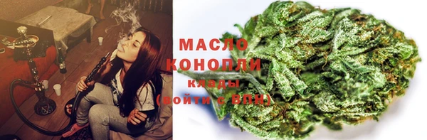 гидра Краснослободск
