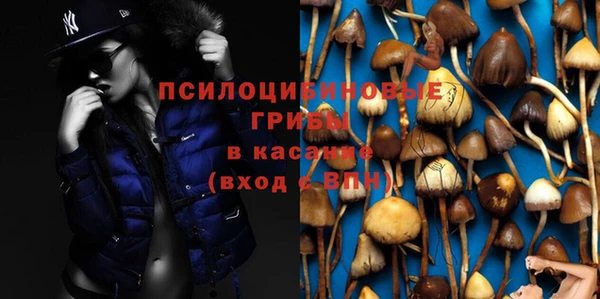 мдпв Краснотурьинск